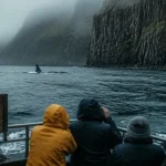Laki tour Islande, excursion observation baleines près d’Ólafsvík