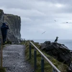 Macareux Islande : un photographe observe un macareux sur une corniche rocheuse
