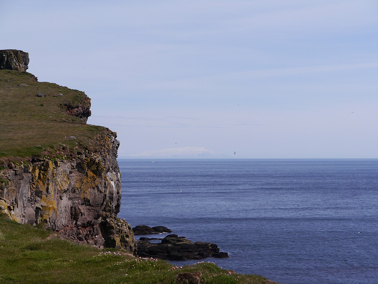 Paysage de Látrabjarg